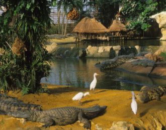 La Ferme aux Crocodiles - Pierrelatte